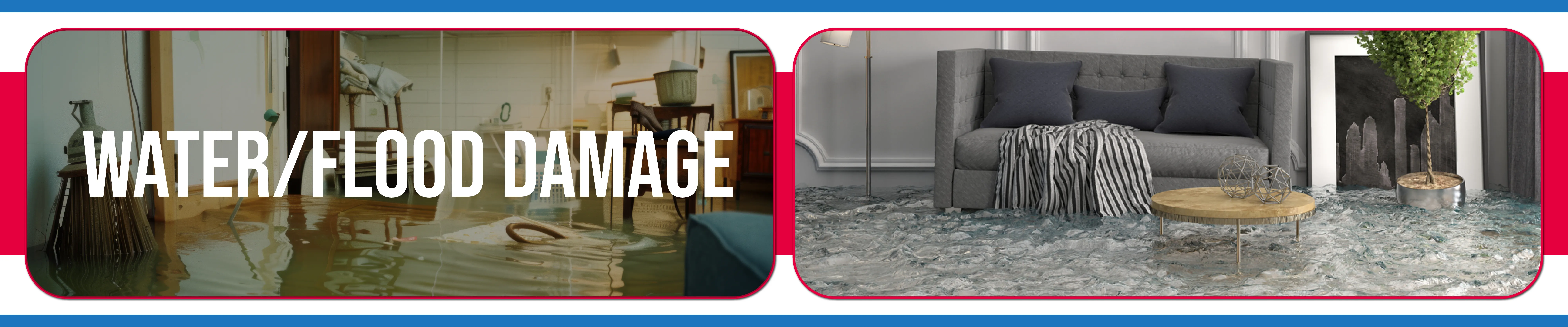 carpet cleaning in Nassau, carpet cleaner in Nassau, carpet cleaners in Nassau, carpet cleaners in new york, commercial carpet cleaning, commercial carpet cleaning in Nassau, rug cleaning in Nassau,rug cleaners Nassau, Nassau rug cleaners, rug cleaning services in Nassau, same day carpet cleaning,pet cleaning in Nassau, pet cleaner in Nassau, pet cleaners in Nassau, pet cleaners in new york, organic cleaning in Nassau, organic cleaner in Nassau, organic cleaners in Nassau, organic cleaners in new york, mattress cleaning in Nassau, mattress cleaner in Nassau, upholstery cleaners in Nassau, upholstery cleaners in new york, Miscellaneous cleaning in Nassau, Miscellaneous cleaner in Nassau, bed bug cleaners in Nassau, bed bug cleaners in new york, damage service in Nassau, allergy control in Nassau, same day rug cleaning